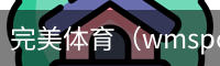 完美体育，WMsports，完美体育官方，完美体育平台，完美体育下载